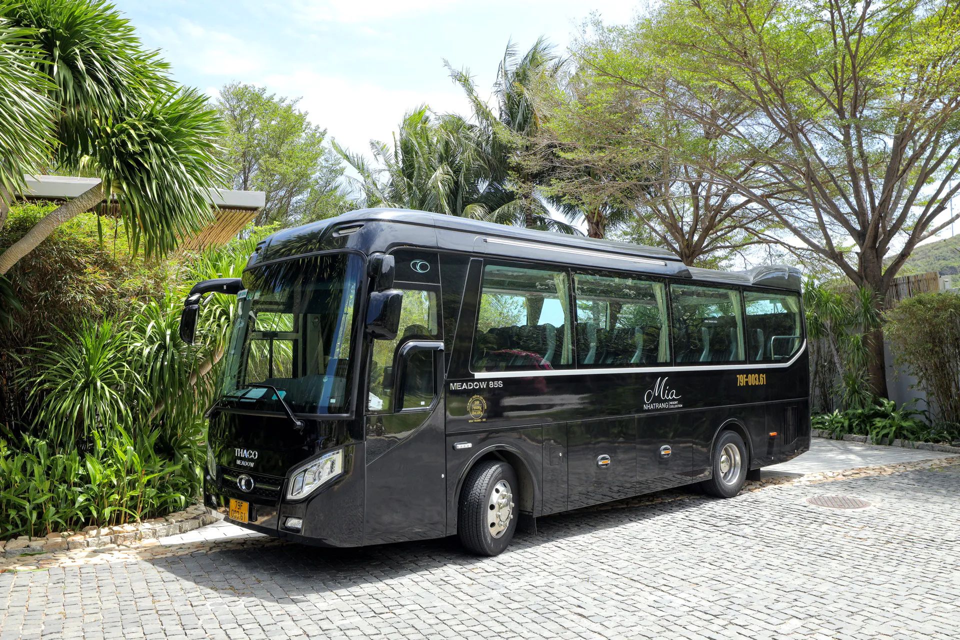 bus-mobile GETTING AROUND