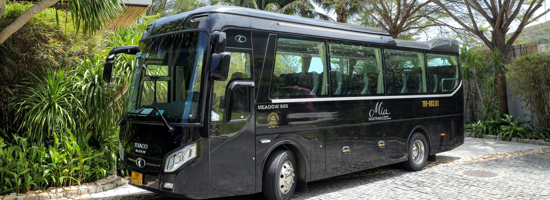 bus-web GETTING AROUND